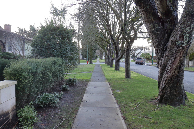 Illustration for article titled Pics from the Curbside: 2018-02-04 to Marpole at Dusk and Night